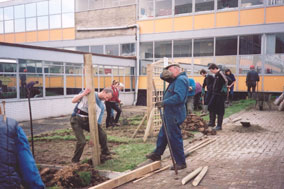 create wildlife garden