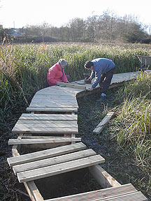 boardwalk construction