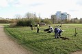 tree planting by volunteers tree planting