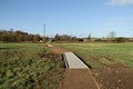 path with boardwalks