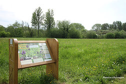 meadow & interpretation board