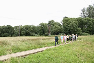 group walking