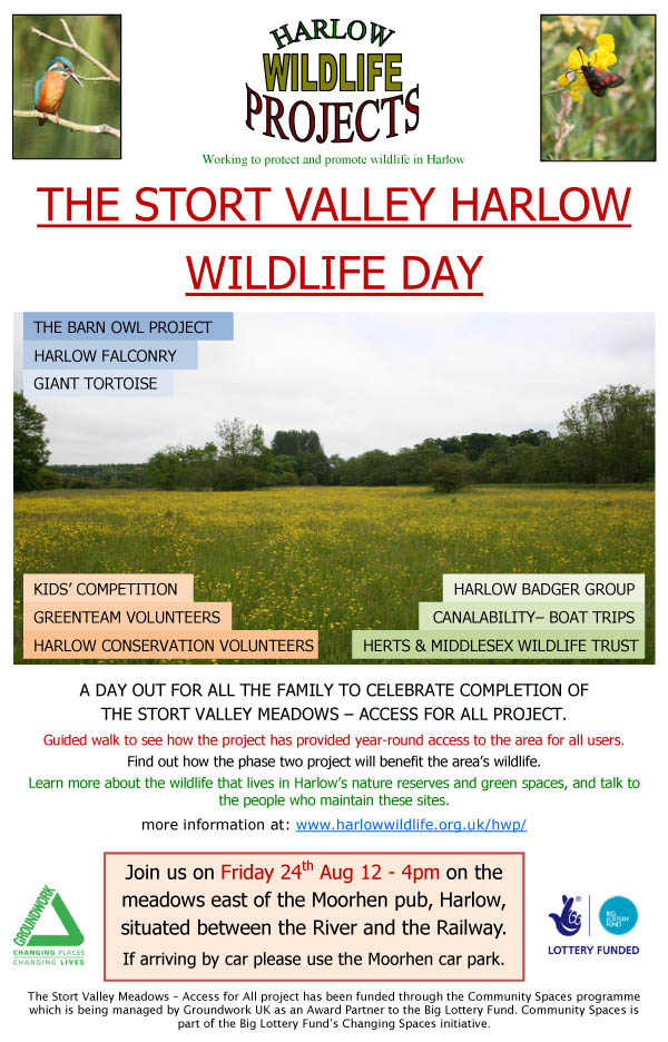 Wildlife Day poster