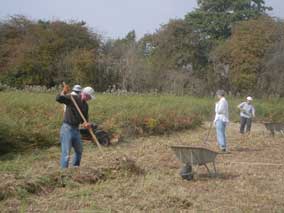 site photo